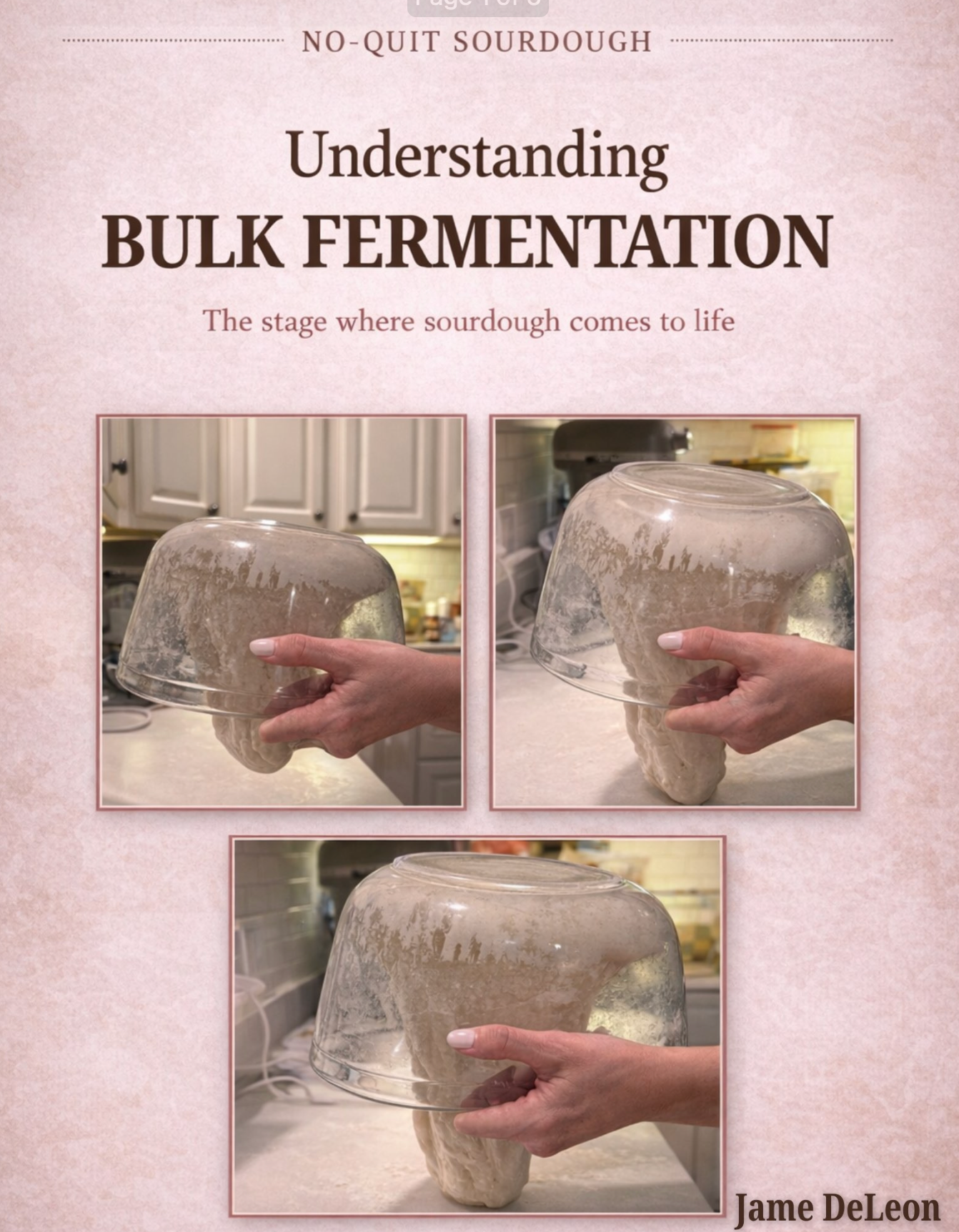 Understanding Bulk Fermentation